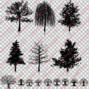وکتور درخت کاج ، وکتور درخت سبز ، وکتور درخت خشک ، طرح درخت برای تاتو Tree Vectors